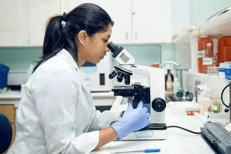 A Lab Attendant using a Microscope
